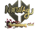 Sticker | noway (Gold) | Shanghai 2024