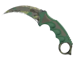 ★ StatTrak™ Karambit | Boreal Forest (Well-Worn)