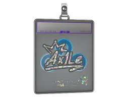 Sticker Slab | Ax1Le (Glitter) | Antwerp 2022