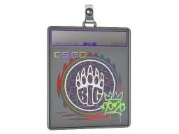 Sticker Slab | BIG (Holo) | 2020 RMR