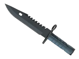 ★ M9 Bayonet | Night (Minimal Wear)