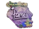 Sticker | fame (Champion) | Rio 2022 CS2 skin