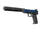 USP-S | Royal Guard CS2 skin