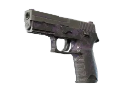 P250 | Plum Netting CS2 skin