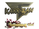 Sticker | karrigan (Gold) | Shanghai 2024