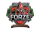 Sticker | forZe eSports | Berlin 2019 CS2 skin