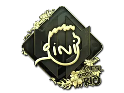 Sticker | VINI (Gold) | Rio 2022