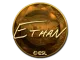 Sticker | Ethan (Gold) | Katowice 2019 CS2 skin