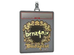 Sticker Slab | brnz4n (Gold) | Budapest 2025