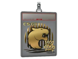 Sticker Slab | FURIA (Gold) | 2020 RMR