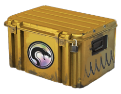 Recoil Case