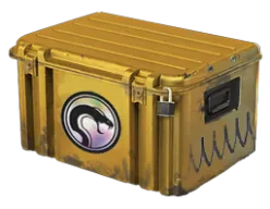 Recoil Case