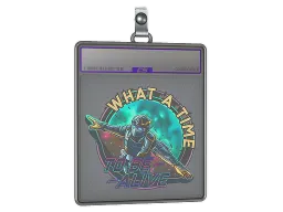 Sticker Slab | Wingsuit (Holo)