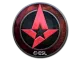 Sticker | Astralis | Katowice 2019 CS2 skin