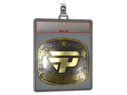 Sticker Slab | paiN Gaming (Gold) | Austin 2025