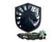 Sticker | Team Liquid | Antwerp 2022