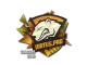 Sticker | Virtus.Pro | Cologne 2016 CS2 skin