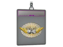 Sticker Slab | Luck Skill (Foil)