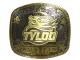 Sticker | TYLOO (Gold) | Austin 2025 CS2 skin