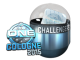 ESL One Cologne 2015 Challengers skin