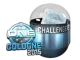 ESL One Cologne 2015 Challengers CS2 skin