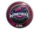 Sticker | Winstrike Team | Katowice 2019 CS2 skin