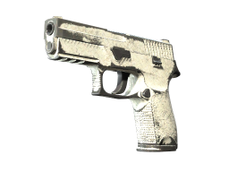 P250 | Whiteout (Battle-Scarred)
