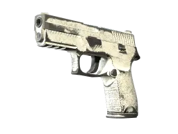 P250 | Whiteout (Battle-Scarred)