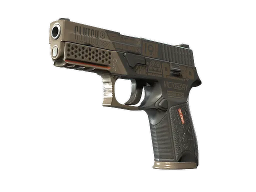StatTrak™ P250 | Bullfrog (Battle-Scarred)