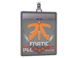 Sticker Slab | Fnatic (Holo) | Krakow 2017