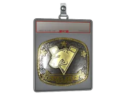 Sticker Slab | Virtus.Pro (Gold) | Austin 2025