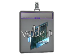Sticker Slab | v4lde (Foil) | Boston 2018