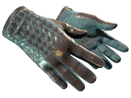★ Driver Gloves | Lunar Weave (Field-Tested)