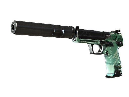 StatTrak™ USP-S | PC-GRN (Well-Worn)