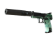 StatTrak™ USP-S | PC-GRN (Well-Worn)