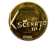 Sticker | KSCERATO (Gold) | Katowice 2019 CS2 skin