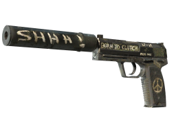USP-S | Flashback (Battle-Scarred)