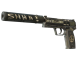 USP-S | Flashback (Battle-Scarred)