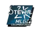 Sticker | Stewie2K | MLG Columbus 2016 CS2 skin