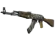 AK-47 | Wasteland Rebel CS2 skin