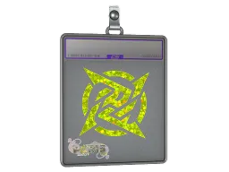 Sticker Slab | Ninjas in Pyjamas (Glitter) | Paris 2023
