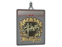 Sticker Slab | z4KR (Gold) | Budapest 2025
