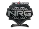 Sticker | NRG | Berlin 2019 CS2 skin
