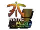 Sticker | Fnatic | MLG Columbus 2016 CS2 skin