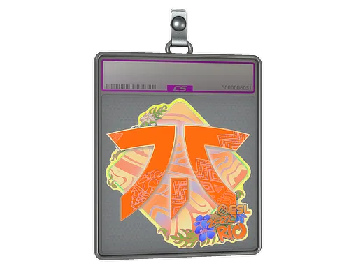 Sticker Slab | Fnatic (Holo) | Rio 2022