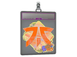Sticker Slab | Fnatic (Holo) | Rio 2022