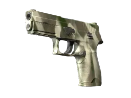 P250 | Bone Mask CS2 skin