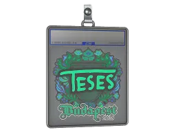 Sticker Slab | TeSeS | Budapest 2025