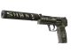 USP-S | Flashback CS2 skin