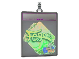Sticker Slab | fer (Holo) | Rio 2022